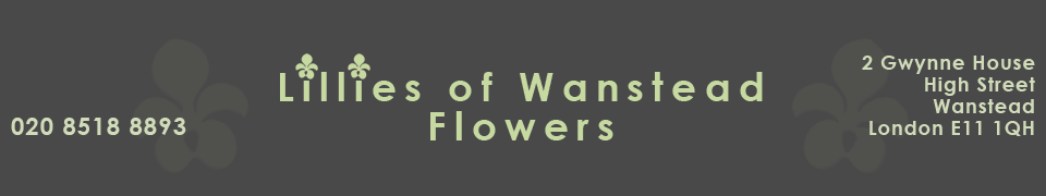 Lillies Of Wanstead