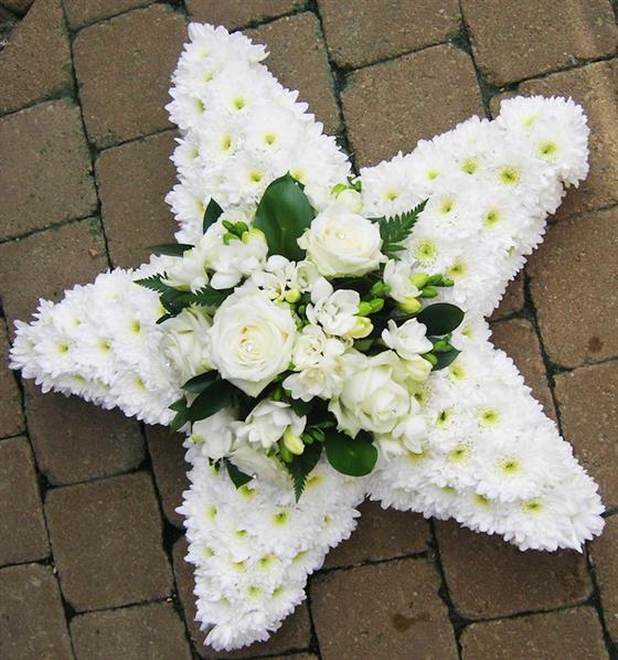 My Image 74