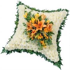 Cushion
